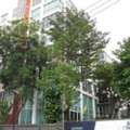 THB 2600000,  1 BR,  44 Sq. Meter,  ขายคอนโด กรีนไนน์ คริสการ์เด้น พร