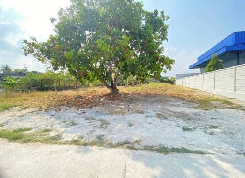 Bangkok, Real Estate For Sale, THB 1500000,  6 BR,  100 Sq. Feet,  ขายที่ดินเปล่าทำเลดี 1 งาน บางพระ ศ