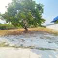 THB 1500000,  6 BR,  100 Sq. Feet,  ขายที่ดินเปล่าทำเลดี 1 งาน บางพระ ศ