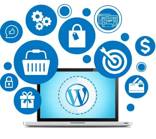 New Delhi, Business, Professional WordPress Website Design In Delhi