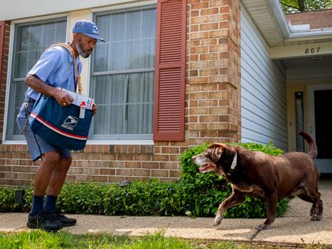 New York, Training, Employee Dog Bite Prevention | Field Employee Safety Training