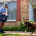 Employee Dog Bite Prevention | Field Employee Safety Training