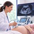 Advanced Ultrasound Imaging Services Winter Garden