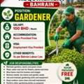 HIRING- GARDNER