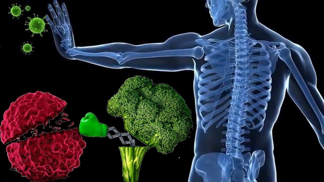 Ghaziabad, Health, Targeted Immunotherapy Treatment In Noida By Experts