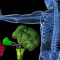 Targeted Immunotherapy Treatment In Noida By Experts