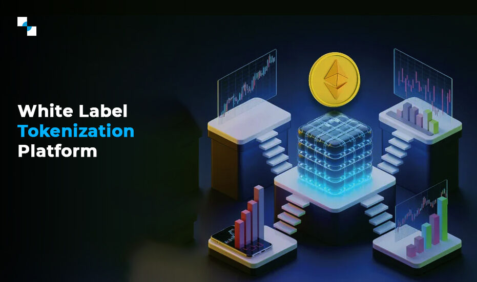 New York, Software Development, Launch Your Own Tokenization Platform With White Label Development