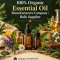 100% Organic Essential Oil Manufacturers Company| Bulk Supplier |