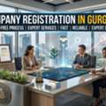 Choosing Professional Assistance For Company Registration In Gurgaon