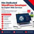 Hire Dedicated WordPress Developer For Professional Websites