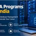 DBA Specializations, Skills And Career Opportunities Explained
