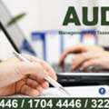 Audit Management Pay Taxes And Transaction