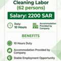 CLEANER