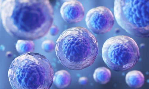 New Delhi, Health, Stem Cell Treatment In India | Global Stem Cell Care