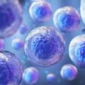 Stem Cell Treatment In India | Global Stem Cell Care