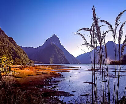 Auckland, Travel, Explore New Zealand Milford Sound Tours | Cheeky Kea Travel