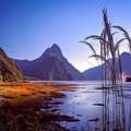 Explore New Zealand Milford Sound Tours | Cheeky Kea Travel