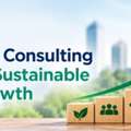 Top Business Consulting Services For Sustainable Business Growth
