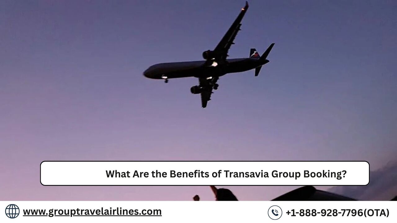 New York, Travel, What Are The Benefits Of Transavia Group Booking?