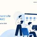 Software Development Life Cycle(SDLC) Phases