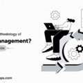 Agile Software Development Process: Phases & Methodology