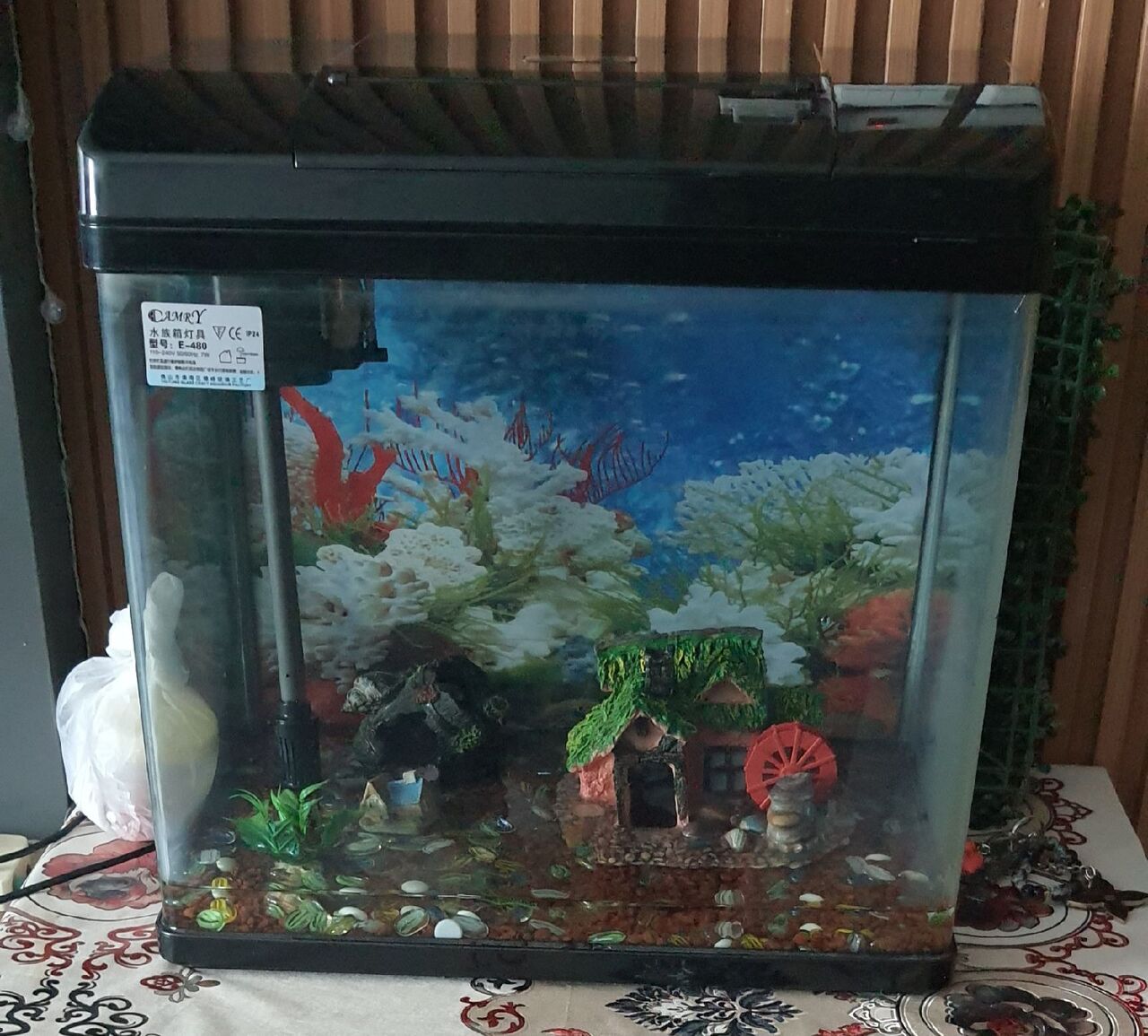 Busaiteen, Pet Supplies, BHD 30,  FISH AQUARIUM