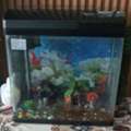 BHD 30,  FISH AQUARIUM