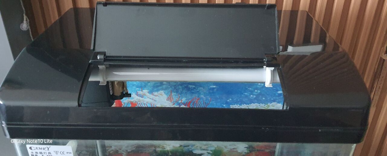 Busaiteen, Pet Supplies, BHD 30,  FISH AQUARIUM