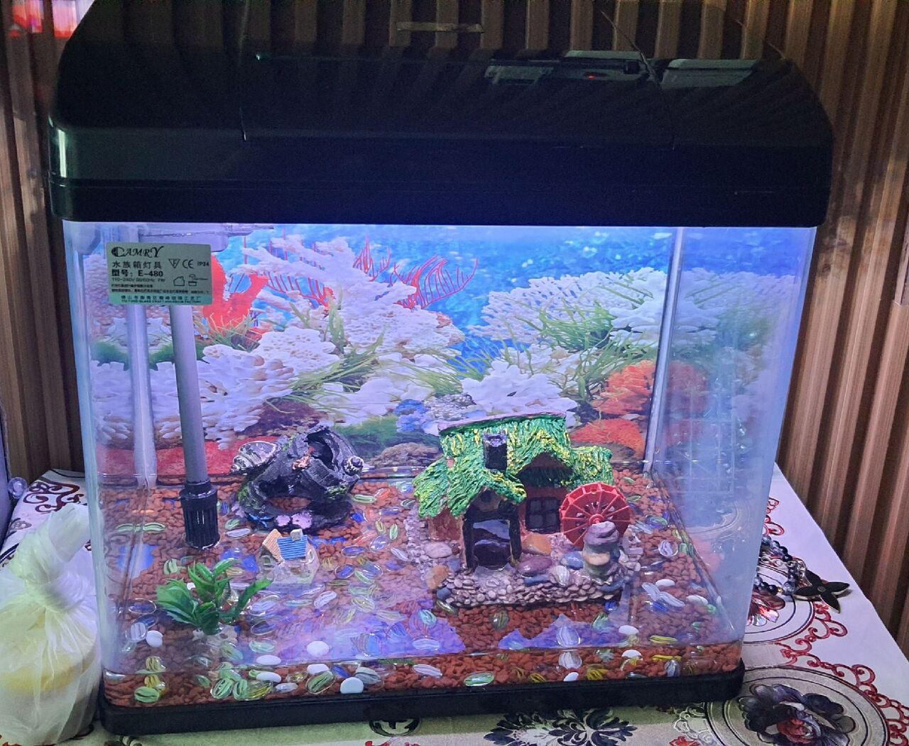 Busaiteen, Pet Supplies, BHD 30,  FISH AQUARIUM