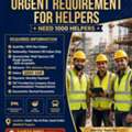 Need 1000 Labour Single Or Double Sponsor