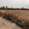 THB 207945000,  6 BR,  18456 Sq. Feet,  ขายที่ดินระหว่างนิคม แปลงสวย ทำเ