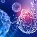Stem Cell Therapy In Delhi For Regenerative Care