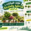 SAR 200,  توريد النباتات الداخلية والخارجية في ال