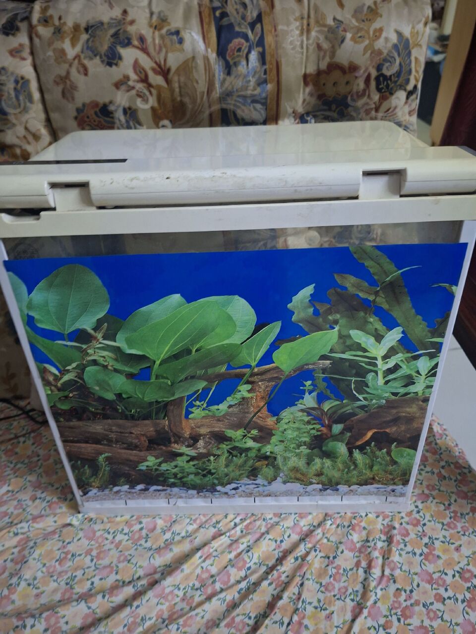 Manama, Appliances, BHD 4,  Mini Fish Tank