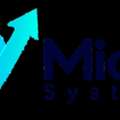 Pulse By Mianro Systems