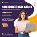 Salesforce Data Cloud FREE Online Live Demo &ndash; Join Now!