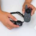 USD 99,  What Features Matter In A Puppy Shock Collar?