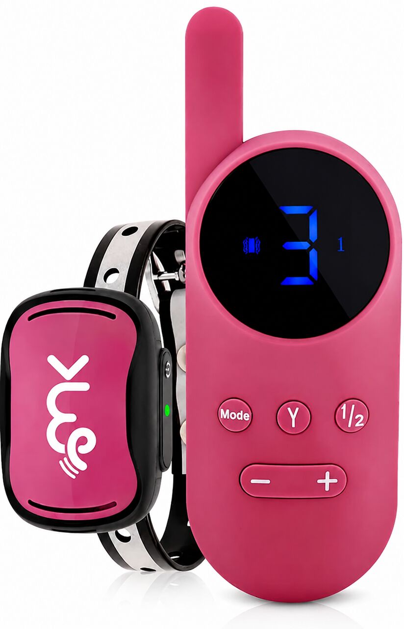 Los Angeles, Pet Supplies, USD 99,  What Features Matter In A Puppy Shock Collar?