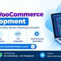 WordPress Plugin Development Company In Jaipur -  LIYAN IT SOLUTION