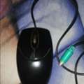 SAR 50,  Genius Computer Mouse