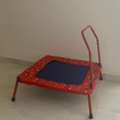 SAR 100,  Baby Trampoline