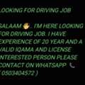 Looking For Driver Job