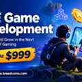 USD 999,  The New Era Of Player-Owned Economies Starts With P2E Game Development