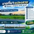 THB 2390000,  6 BR,  907 Sq. Feet,  ขายที่นาแปลงสวย ติดถนน 2 ไร่ 1 งาน 7 ตร.