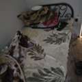 SAR 250/month,  SAR 250 BED SPACE
