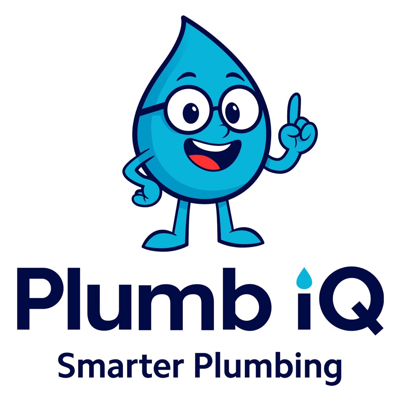 New York, Household, Plumb IQ