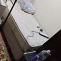 SAR 400/month,  15 Sq. Meter,  Bed Space Available Gurnatha Exit 8 Near Sagar Restaurant Riyadh