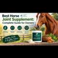 USD 40,  Best Horse Joint Supplement: Complete Guide For Owners &ndash; Evergreen Equine