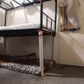 3/month,  Bed Space Available