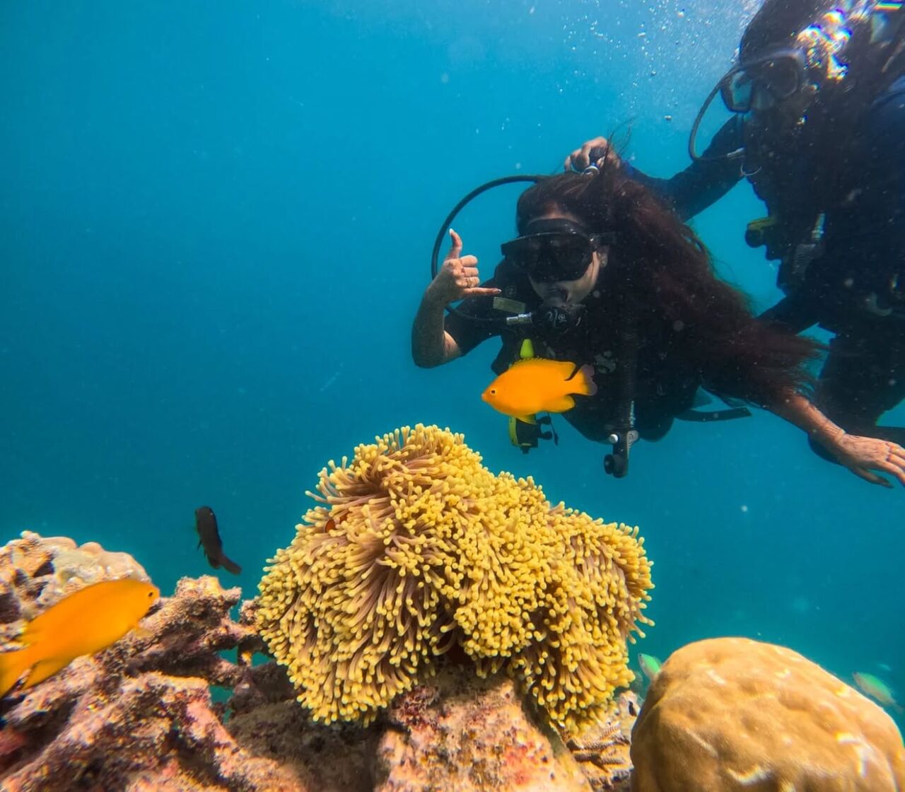 Mumbai, Travel, Discover The Underwater Beauty Of Andaman And Havelock